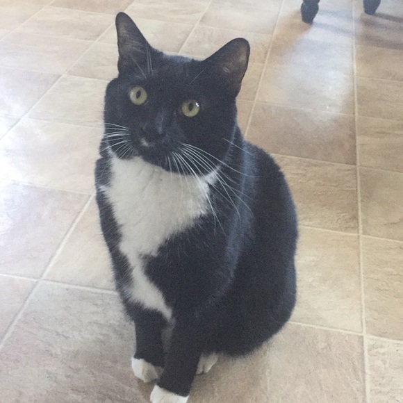 Meet your Posher, Sandra - Picture 1 of 1